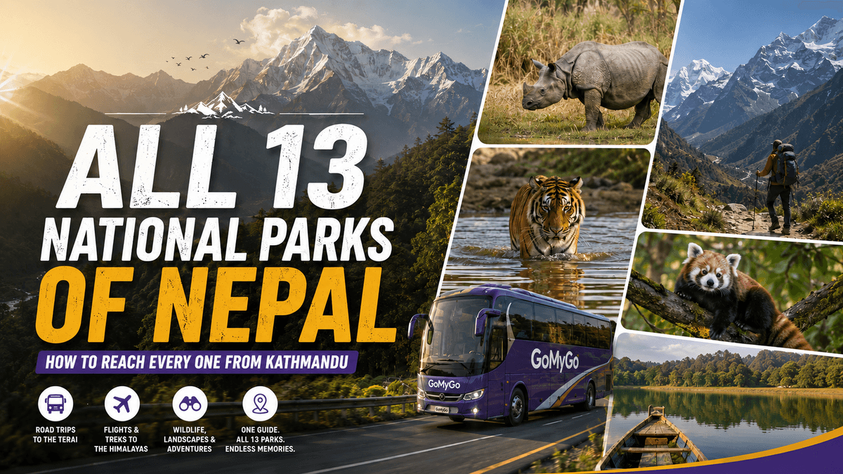 Collage of Nepal's 13 national parks — rhino, tiger, red panda, Himalayan trekker and lake, with a GoMyGo bus on a mountain road